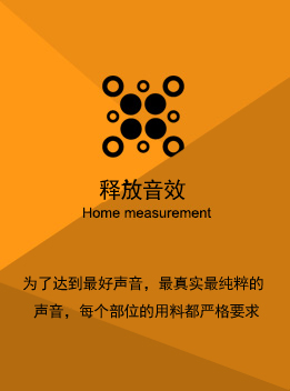 91视频精品网站音响