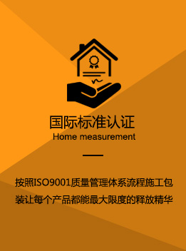 91视频精品网站音响